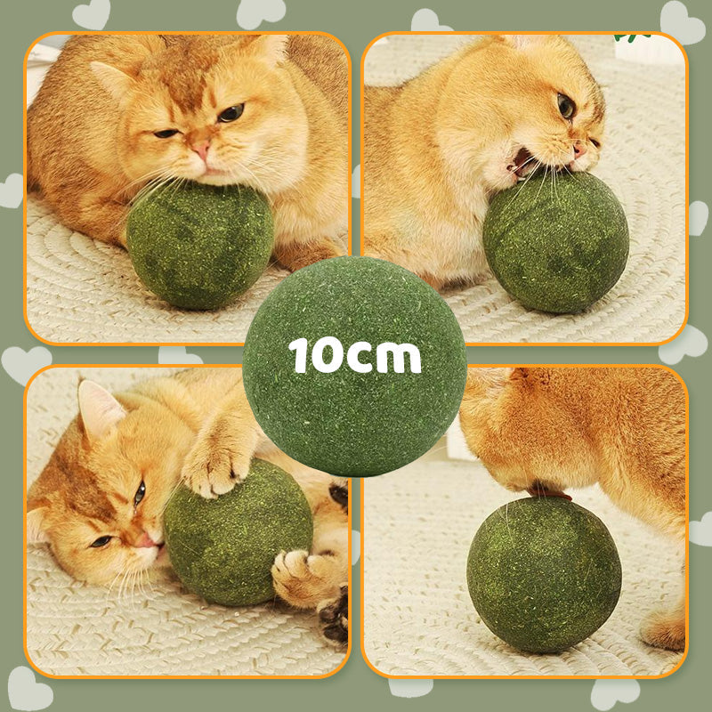 🤩Énormes boules d'herbe à chat🤩