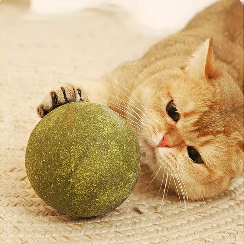 🤩Énormes boules d'herbe à chat🤩