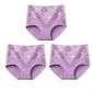 💥Kaufen Sie 1 und erhalten Sie 1 gratis💥Hochtaillierter Bauchansatz Leckagekontrolle Panty-Slip
