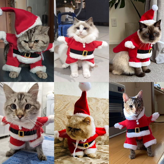 🎄Christmas Promotion 50% OFF🎅✨Autumn And Winter Cat Christmas Dog Clothes