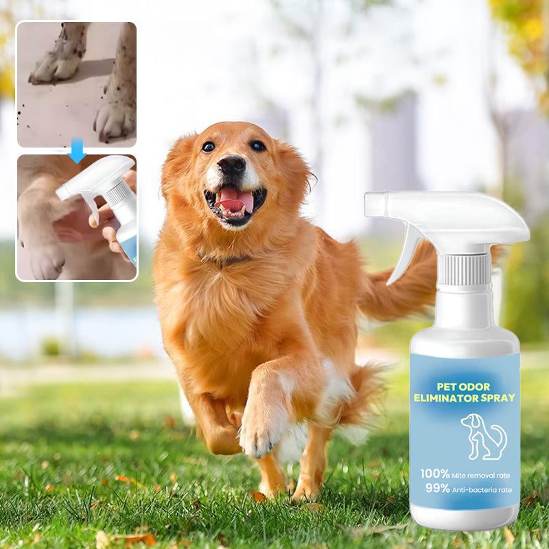 🌟 Achetez 1, obtenez 1 GRATUIT ! 🔥 Spray désodorisant pour animaux domestiques 🐕