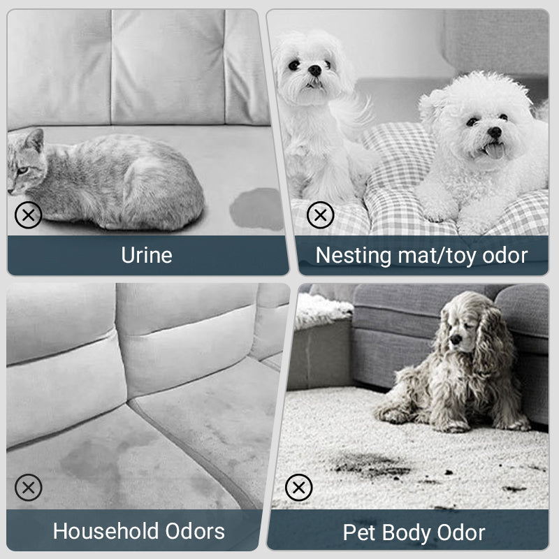 🌟 Achetez 1, obtenez 1 GRATUIT ! 🔥 Spray désodorisant pour animaux domestiques 🐕