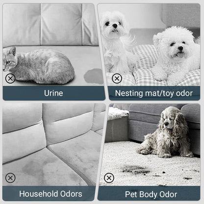 🌟 Achetez 1, obtenez 1 GRATUIT ! 🔥 Spray désodorisant pour animaux domestiques 🐕