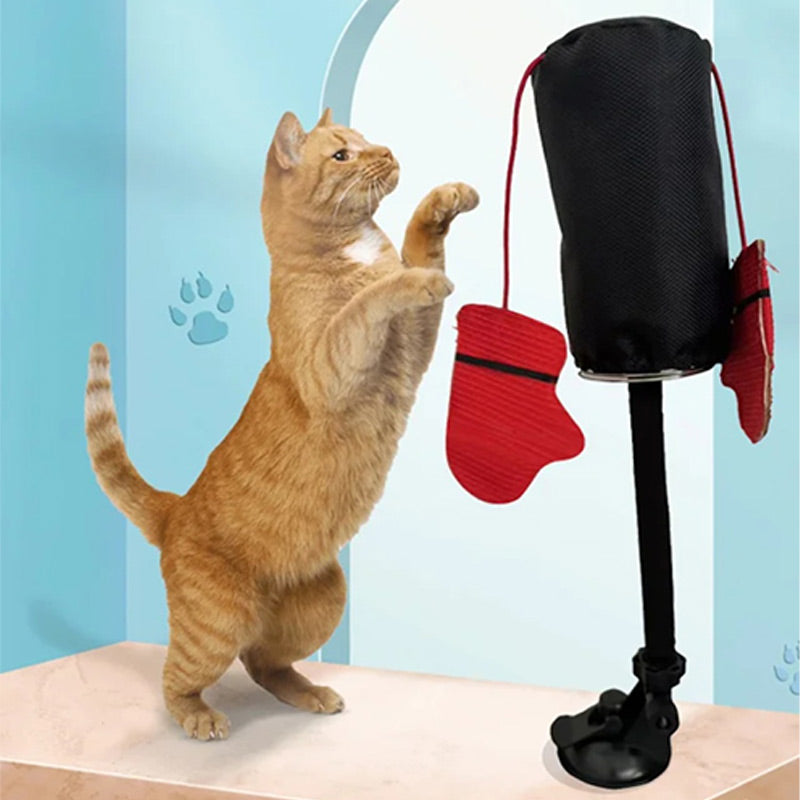 Jouet interactif pour chat : Sac de frappe😻🐾